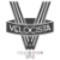 Cicli Velocista GbR Logo