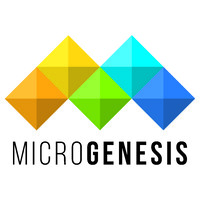MicroGenesis Techsoft Pvt. Ltd. Logo