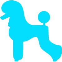 Nash Academy Logo