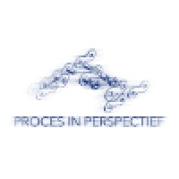 Process In Perspective Logo