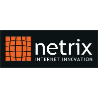 Netrix Ltd Logo