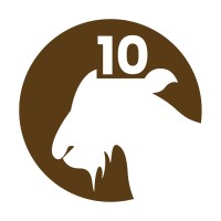 Kaldi | Building Software Masterpieces Logo