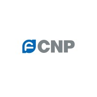 CNP NanFang Pump Industry Co.,Ltd. Logo