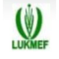 Martin Luther King Jr Memorial Foundation (LUKMEF) Logo