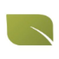 Canopy IT Solutions Logo