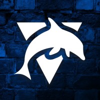Blue Dolphin Screenprint & Embroidery Logo