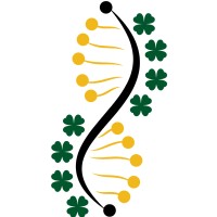 Klover Communications Logo