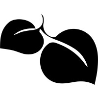 LIFESOURCE NATURAL FOODS Logo