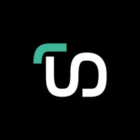 INDI by Jesús Tamez-Duque Logo