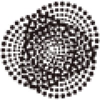 New Asia Investments Logo