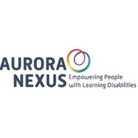 Aurora Nexus Logo