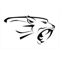 Las Leonas Consulting Logo