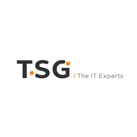 TSG The It Experts Logo