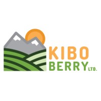 Kiboberry Ltd. Logo