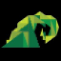 KIDTSUNAMI Logo