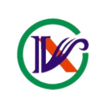LongXinHair Logo