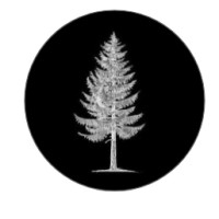 Sitka Strategy Co. Logo