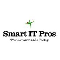 SMART IT PROS INC Logo