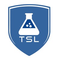TechSalesLab Logo