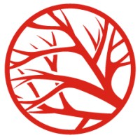 Dynamic Light Logo