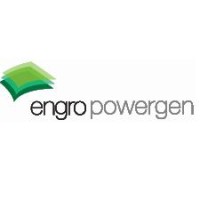 Engro Powergen Qadirpur Limited Logo