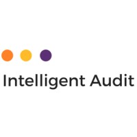 Intelligent Audit Logo