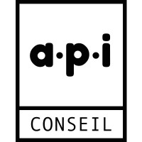 A.P.I. Conseil Logo