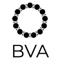 Buena Vista Angels Logo