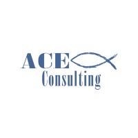 ACE Consulting Company, LLC Logo