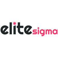EliteSigma Infotech Logo