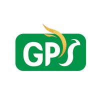 Good Promises Solutions | GPS Logo