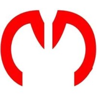 Mega Source Technology Co., Ltd. Logo