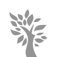 Signal Tree Solutions LLC Logo