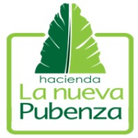 Pubenza Logo