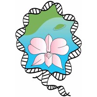 The Royal Society of Queensland Logo