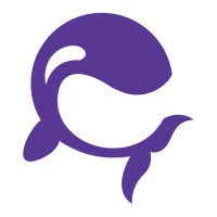 netOrka Logo