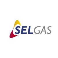 SELGAS Srl Logo