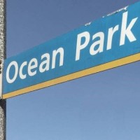 Ocean Park Consulting Logo