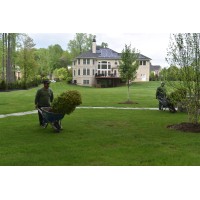 Lawn Escapes Logo