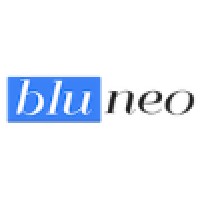 Bluneo Logo