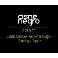 Fundacion Cisne Negro Logo