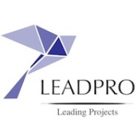 LeadPro Consultancy Logo