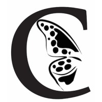 Cocoon Advisory Limited Logo