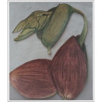 LBLB Group, LLC. Logo