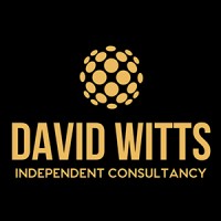 David Witts Independent Consultancy Limited Logo