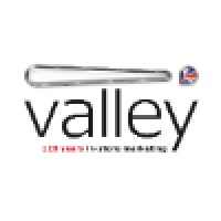 The Valley Group India Logo
