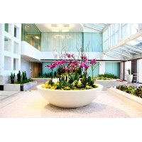 The Plant Place, Inc. Logo