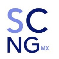 Supply Chain NG Logo