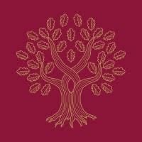 Universidad Panamericana en Línea Logo