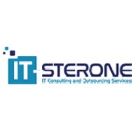 IT STERONE Logo